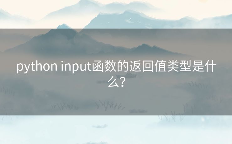 python input函数的返回值类型是什么？