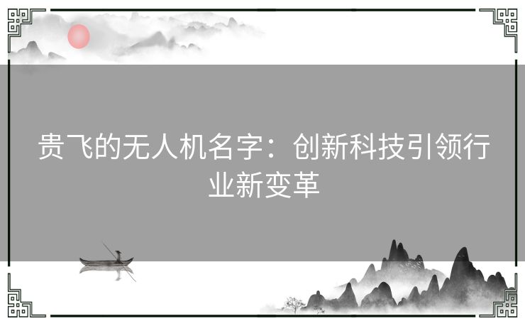 贵飞的无人机名字：创新科技引领行业新变革