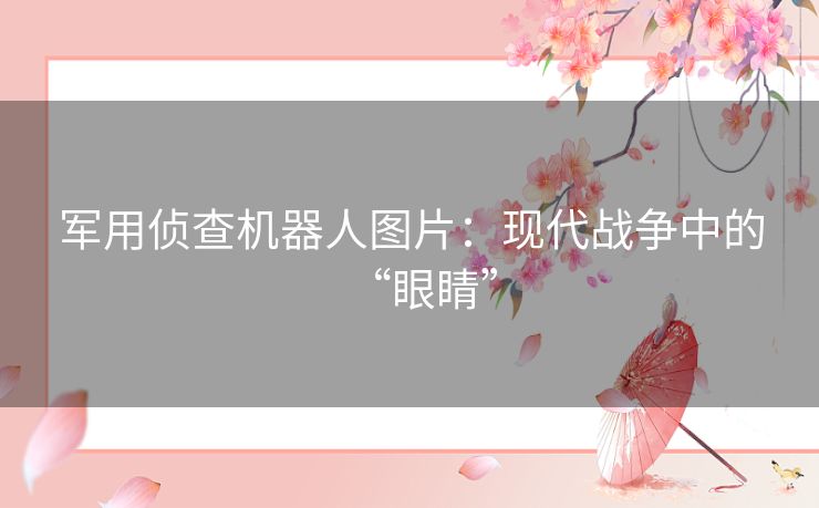 军用侦查机器人图片：现代战争中的“眼睛”