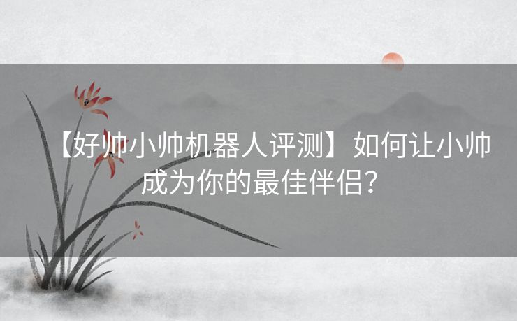 【好帅小帅机器人评测】如何让小帅成为你的最佳伴侣？