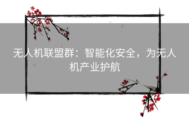 无人机联盟群：智能化安全，为无人机产业护航