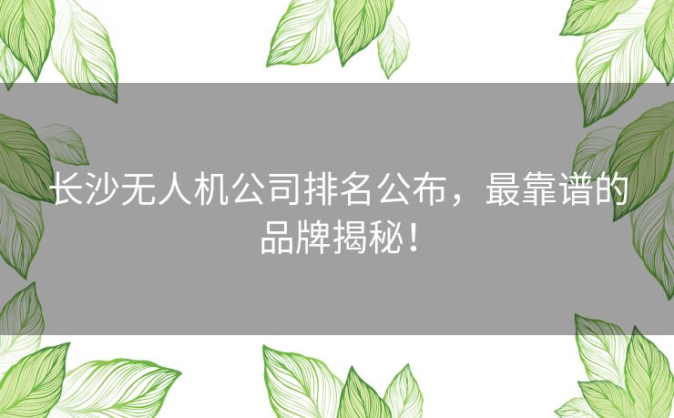 长沙无人机公司排名公布，最靠谱的品牌揭秘！