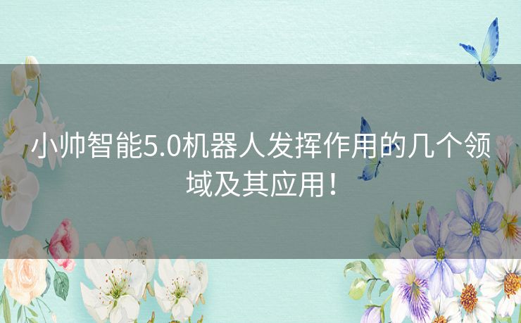小帅智能5.0机器人发挥作用的几个领域及其应用！