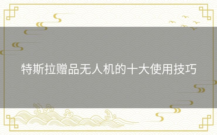 特斯拉赠品无人机的十大使用技巧