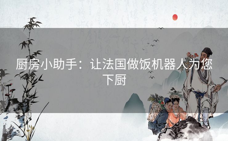 厨房小助手：让法国做饭机器人为您下厨