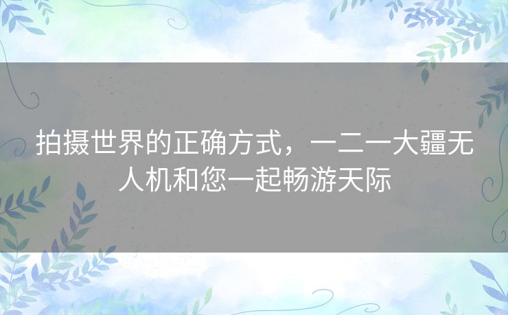 拍摄世界的正确方式，一二一大疆无人机和您一起畅游天际