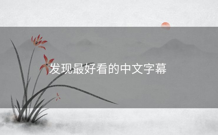 发现最好看的中文字幕 