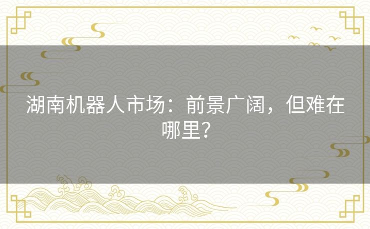 湖南机器人市场：前景广阔，但难在哪里？