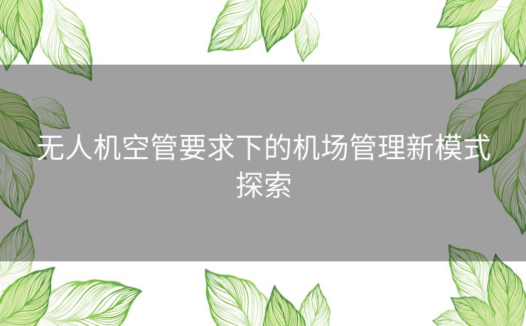无人机空管要求下的机场管理新模式探索