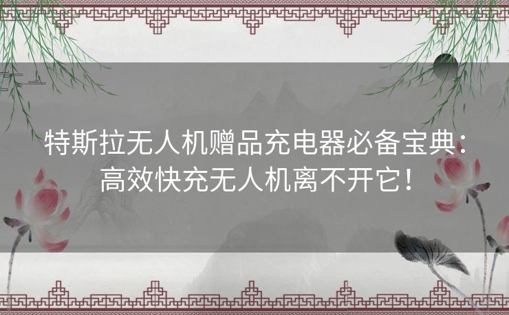 特斯拉无人机赠品充电器必备宝典：高效快充无人机离不开它！