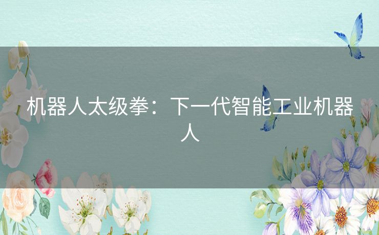 机器人太级拳：下一代智能工业机器人