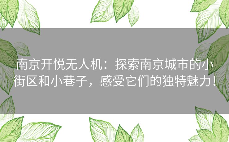 南京开悦无人机：探索南京城市的小街区和小巷子，感受它们的独特魅力！