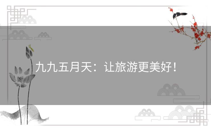 九九五月天：让旅游更美好！