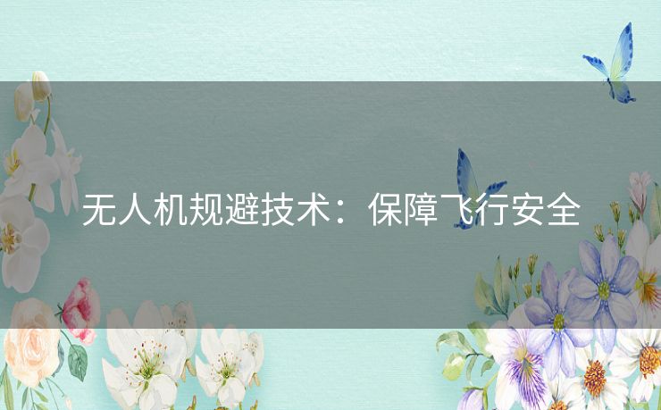 无人机规避技术：保障飞行安全