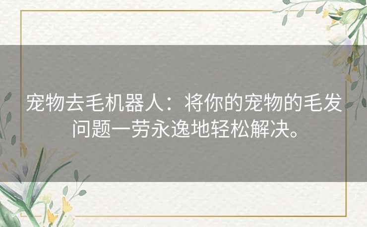 宠物去毛机器人：将你的宠物的毛发问题一劳永逸地轻松解决。