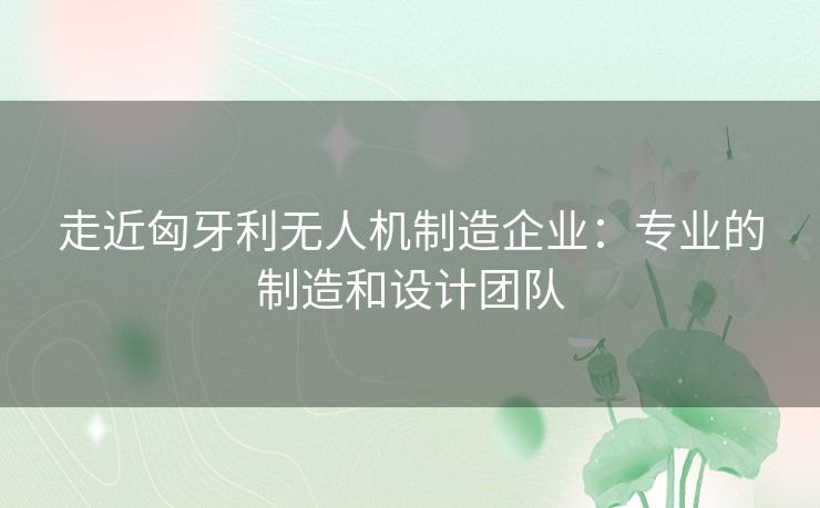 走近匈牙利无人机制造企业：专业的制造和设计团队