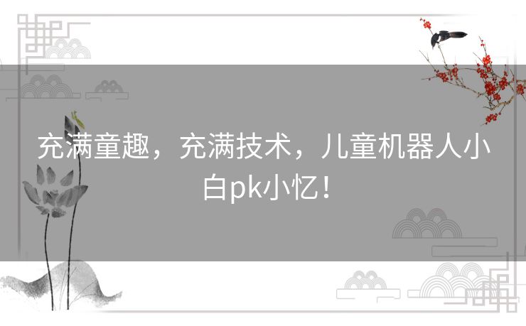 充满童趣，充满技术，儿童机器人小白pk小忆！