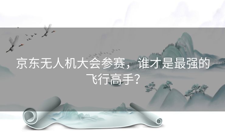 京东无人机大会参赛，谁才是最强的飞行高手？
