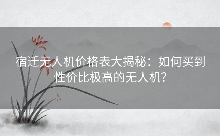 宿迁无人机价格表大揭秘：如何买到性价比极高的无人机？