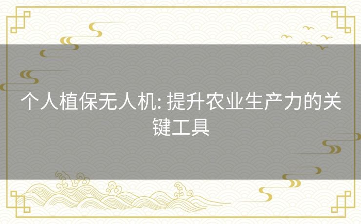 个人植保无人机: 提升农业生产力的关键工具