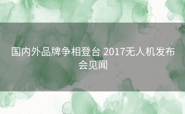 国内外品牌争相登台 2017无人机发布会见闻