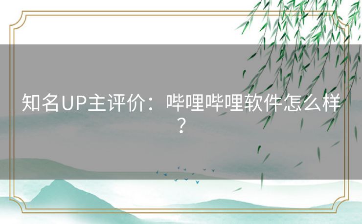 知名UP主评价：哔哩哔哩软件怎么样？