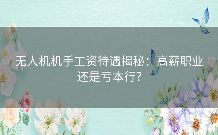 无人机机手工资待遇揭秘：高薪职业还是亏本行？