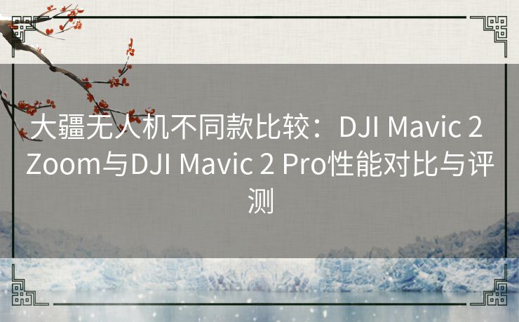 大疆无人机不同款比较：DJI Mavic 2 Zoom与DJI Mavic 2 Pro性能对比与评测