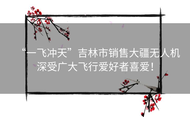 “一飞冲天”吉林市销售大疆无人机深受广大飞行爱好者喜爱！