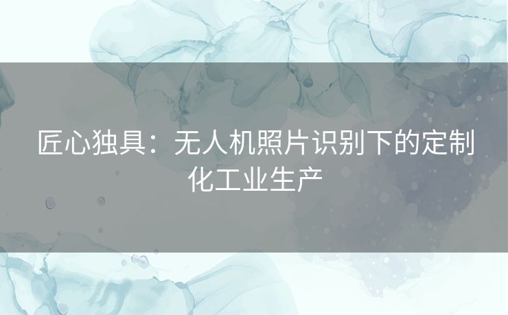 匠心独具：无人机照片识别下的定制化工业生产