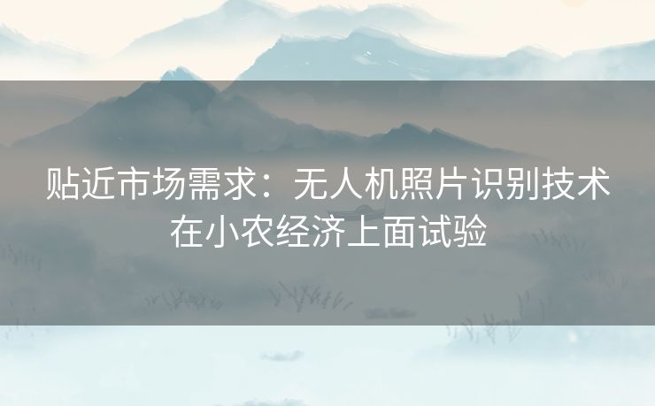 贴近市场需求：无人机照片识别技术在小农经济上面试验