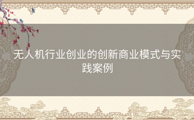 无人机行业创业的创新商业模式与实践案例