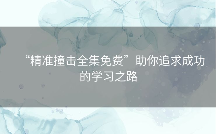 “精准撞击全集免费”助你追求成功的学习之路