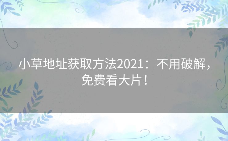 小草地址获取方法2021：不用破解，免费看大片！