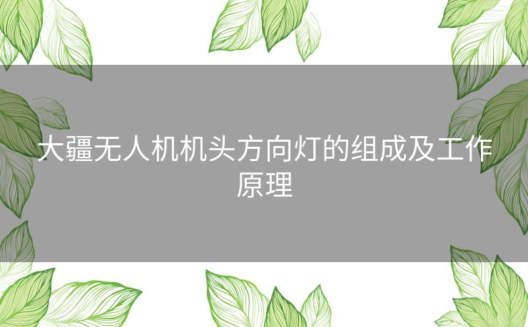 大疆无人机机头方向灯的组成及工作原理