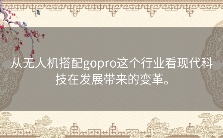 从无人机搭配gopro这个行业看现代科技在发展带来的变革。