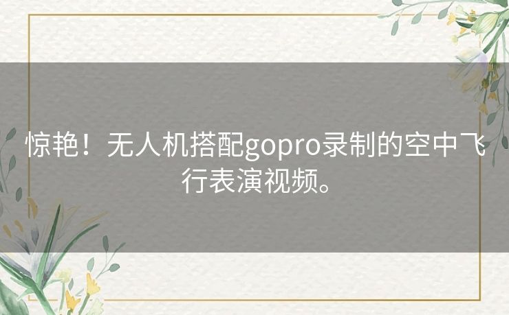 惊艳！无人机搭配gopro录制的空中飞行表演视频。