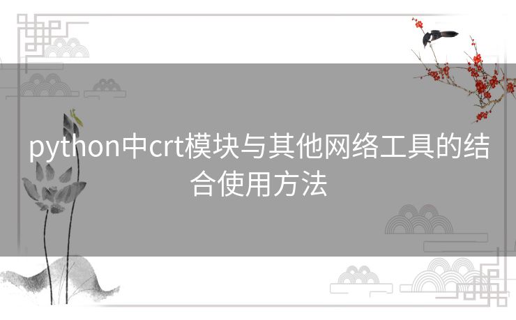 python中crt模块与其他网络工具的结合使用方法