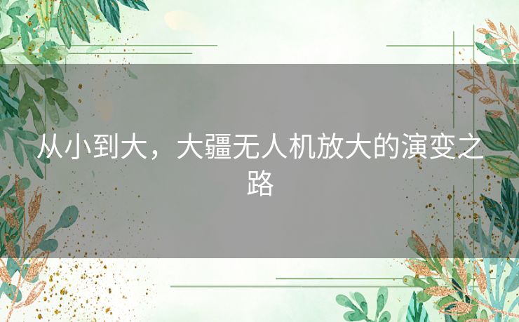 从小到大，大疆无人机放大的演变之路