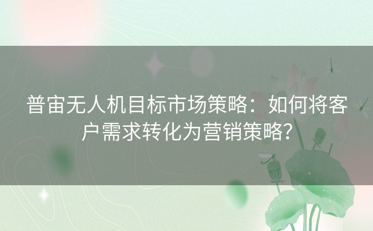 普宙无人机目标市场策略：如何将客户需求转化为营销策略？
