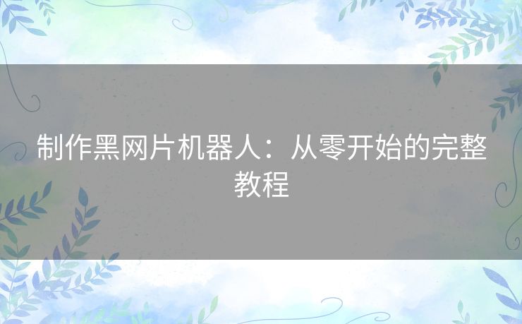 制作黑网片机器人：从零开始的完整教程