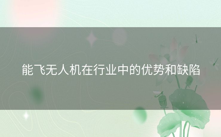 能飞无人机在行业中的优势和缺陷