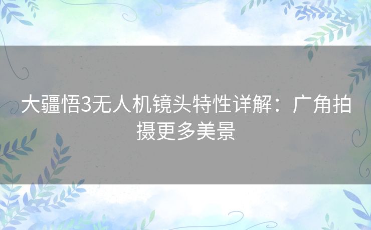 大疆悟3无人机镜头特性详解：广角拍摄更多美景