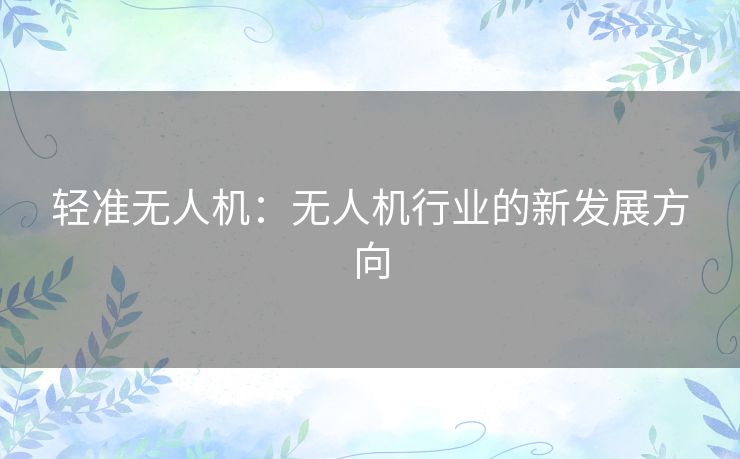 轻准无人机：无人机行业的新发展方向
