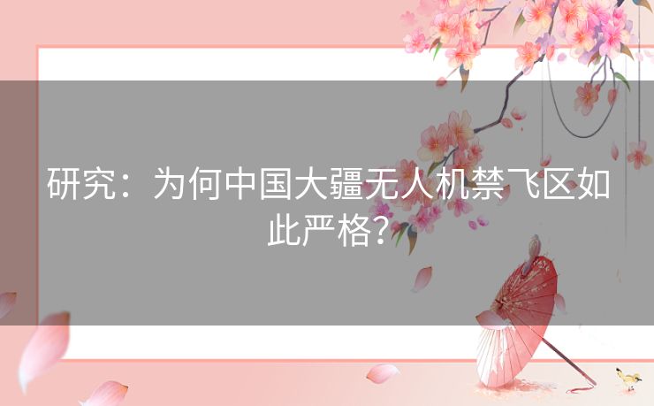 研究：为何中国大疆无人机禁飞区如此严格？