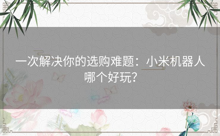 一次解决你的选购难题：小米机器人哪个好玩？