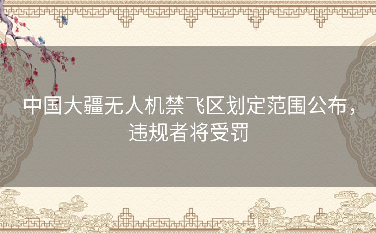 中国大疆无人机禁飞区划定范围公布，违规者将受罚