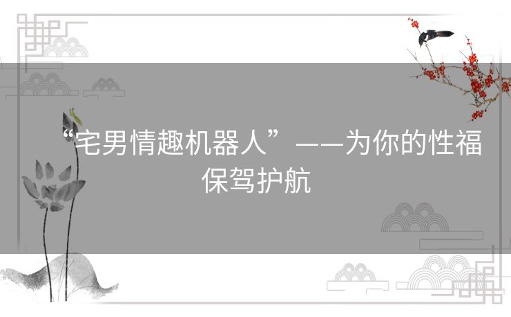 “宅男情趣机器人”——为你的性福保驾护航
