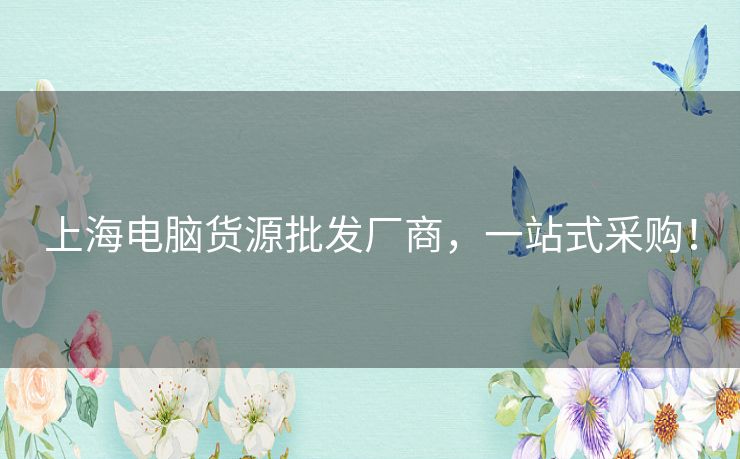 上海电脑货源批发厂商，一站式采购！