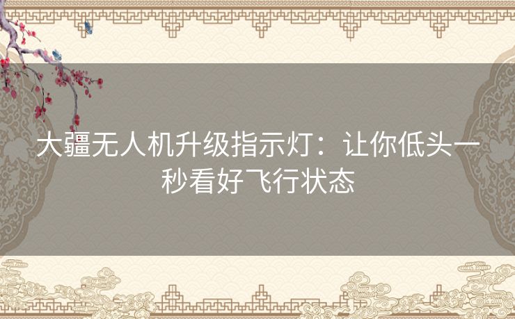 大疆无人机升级指示灯：让你低头一秒看好飞行状态